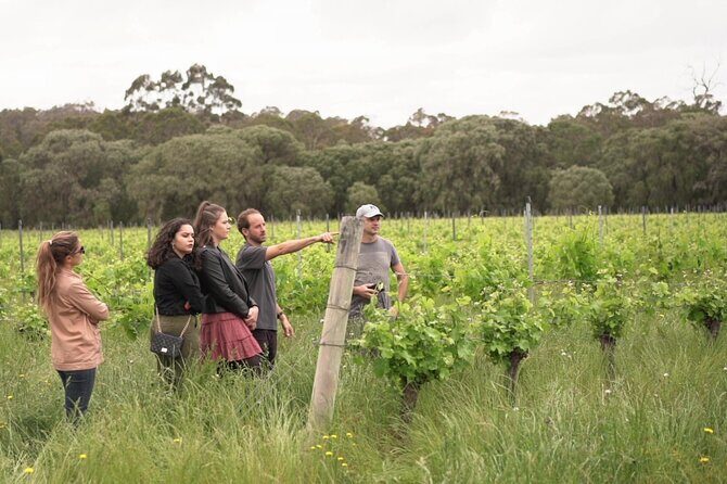 Secret Delights: Wine, Coffee, Artisan and Forest Tour - What Makes This Tour Stand Out?