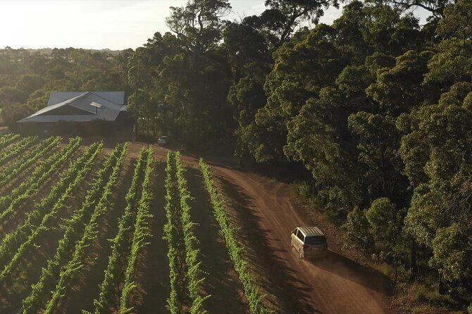 Secret Delights: Wine, Coffee, Artisan and Forest Tour - Final Thoughts