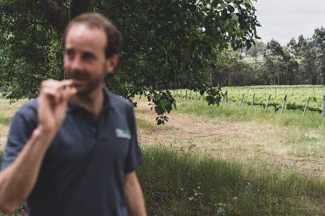 Secret Delights: Wine, Coffee, Artisan and Forest Tour - FAQ