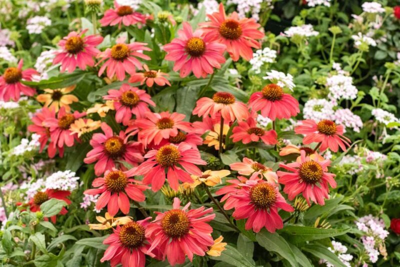 Secret Gardens of London Private Tour - Frequently Asked Questions