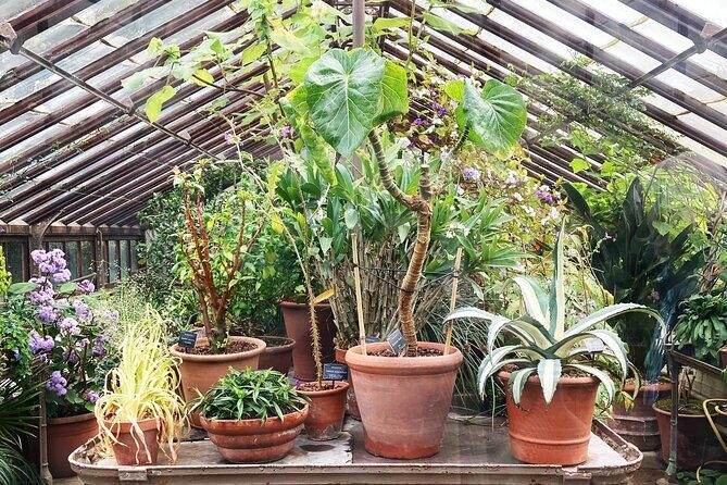 Secret Gardens of London Private Tour - FAQ