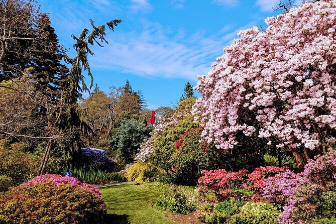 Secret Gardens of Victoria Tour - What to Expect on the Tour