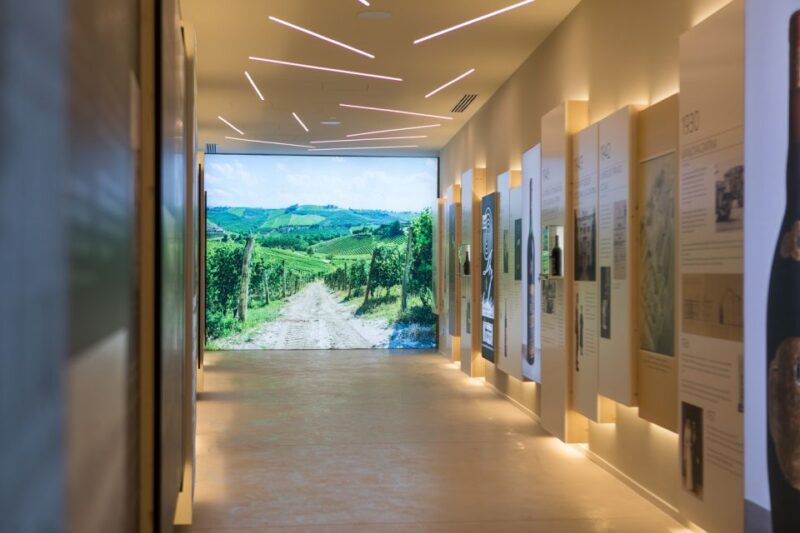 Secret journey between prosecco, lugana and white wines - Final Thoughts: Who Will Appreciate This Experience?