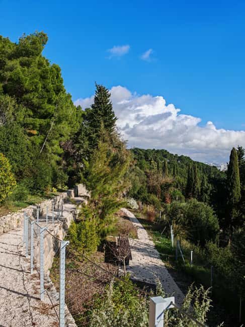 Secret Marjan Park Hiking Tour in Split - An Overview of the Tour Experience