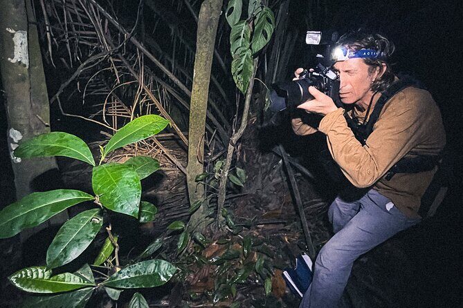 Secret Night Walk in Puerto Jimenez - Why This Tour Offers Fair Value