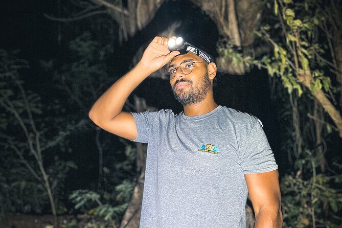 Secret Night Walk in Tamarindo - Key Points