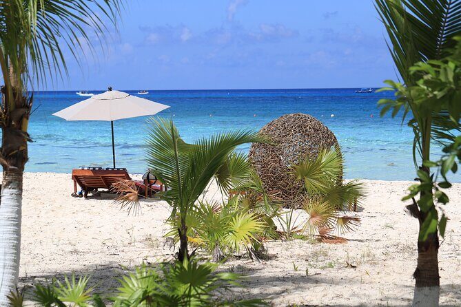 Secret Palancar Beach Experience - A Deep Dive into the Secret Palancar Beach Experience