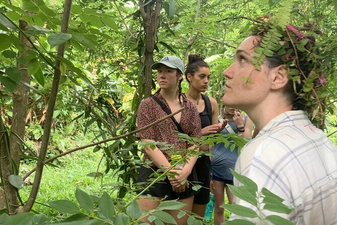 Secret Pool Hike Along the Kalinago Canoe Trail - Final Word