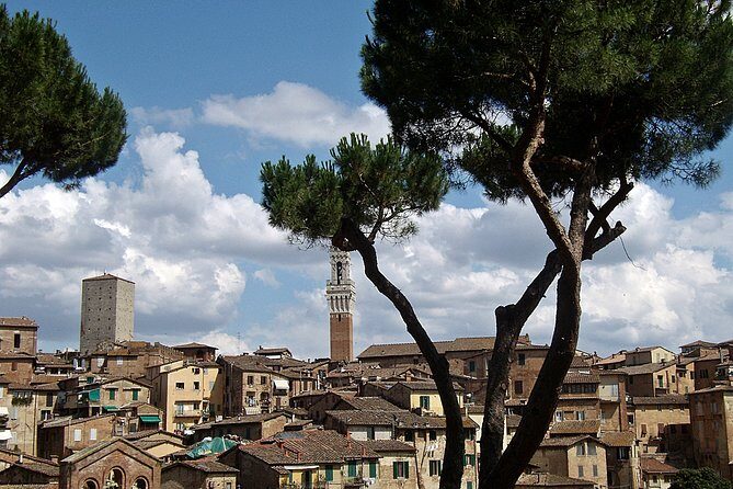 Secret Siena Walking Tour - In-Depth Look at the Secret Siena Walking Tour