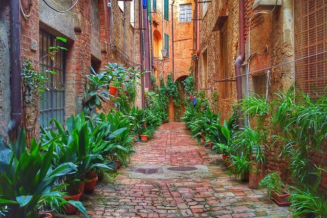 Secret Siena Walking Tour - The Sum Up
