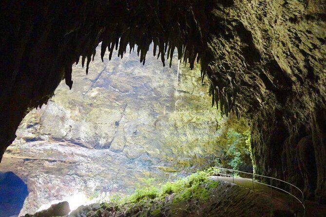 Secret Spots in North Puerto Rico: Self Guided Tour - Exploring North Puerto Rico: An Unmatched Self-Guided Adventure