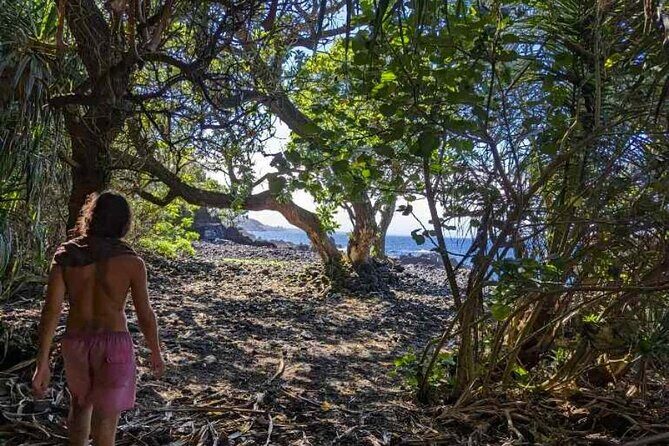 Secret Tide Pool Hike - Jungle & Coast - Private - Authentic Voices from the Reviews