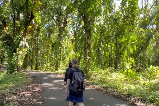 Secret Tide Pool Hike - Jungle & Coast - Private - The Sum Up: Who Is This Tour Best For?