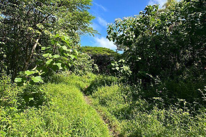 Secret Tide Pool Hike - Jungle & Coast - Private - FAQs