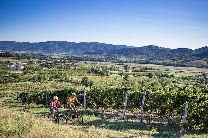 Secret vineyards E-bike tour - Experience the Charm of Slovenia’s Vipava Valley on an E-Bike Tour
