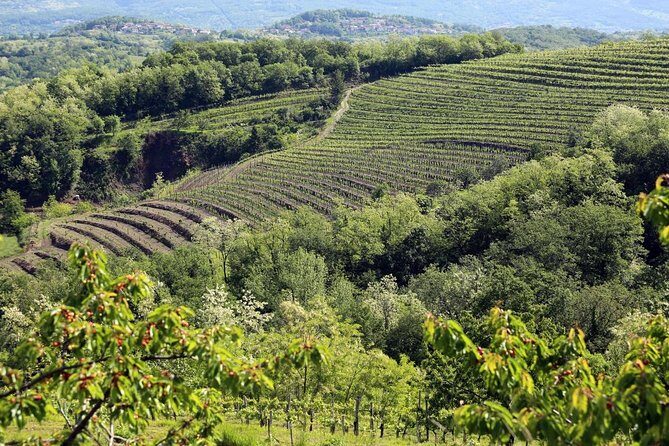 Secret vineyards E-bike tour - FAQs