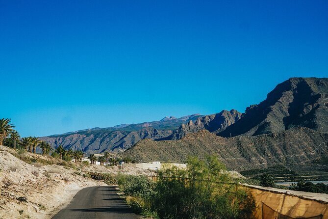 Secret Volcano Tour by Tuk Tuk in Costa Adeje - Key Points