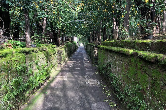 Secret walks of Piano di Sorrento - FAQ
