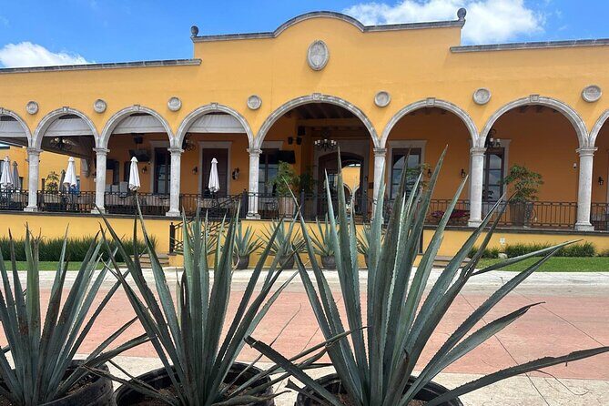 Secrets in Los Altos del Tequila - A Deep Dive into the Tour Experience