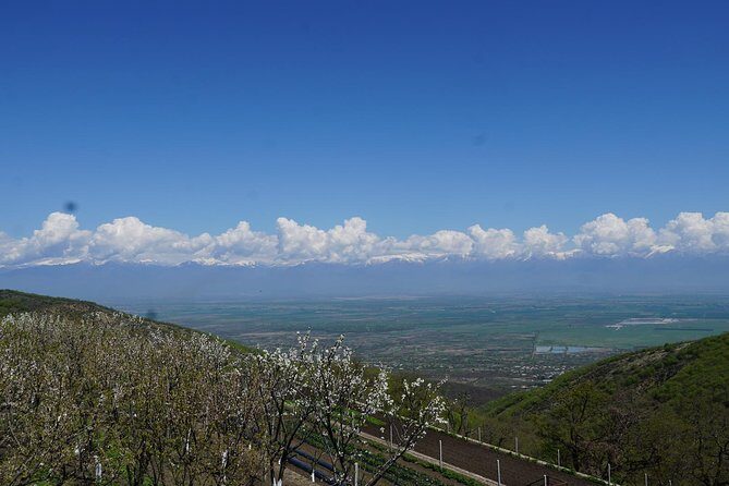 Secrets of Kakheti: Wine & Home-Cooked Lunch - Visiting KTW Winery: A Taste of Georgian Tradition