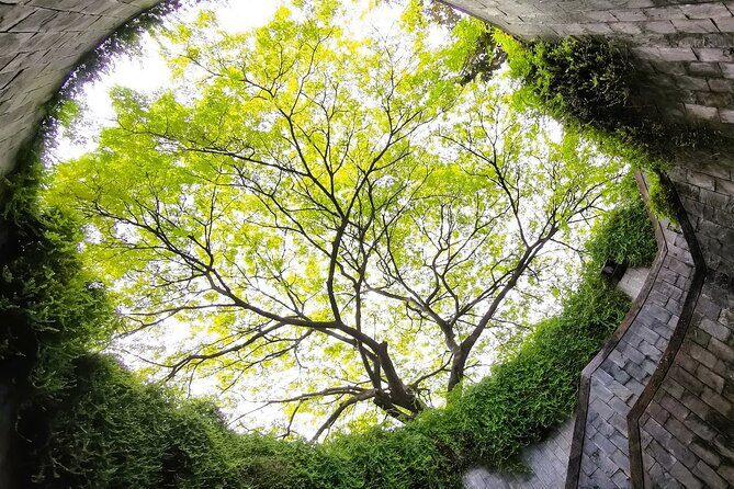 Secrets of Singapore Kick Scooter Tour with Dinner - The Itinerary Breakdown