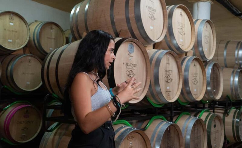 Secrets of Wine: Immersion in the Winery and Professional Tasting - Frequently Asked Questions