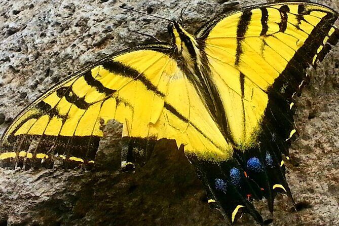 Sedona Creekside of Cathedral Rock Hike With a Private Guide - FAQ