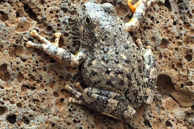 Sedona Creekside of Cathedral Rock Hike With a Private Guide - References