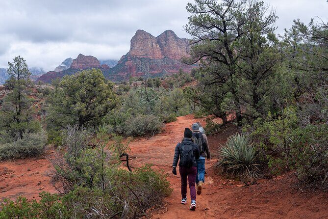 Sedona Red Rock Hike and Sights Tour - Key Points