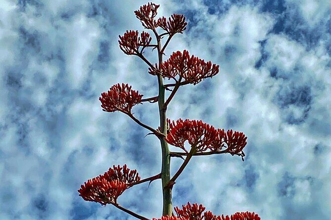 Sedona Sacred Canyons Loop Hike With a Private Guide - Additional Details