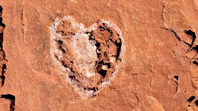 Sedona: The Scientific and Spiritual Vortex Tour - Discover Sedona’s Unique Vortex Experience with a Scientific and Spiritual Twist