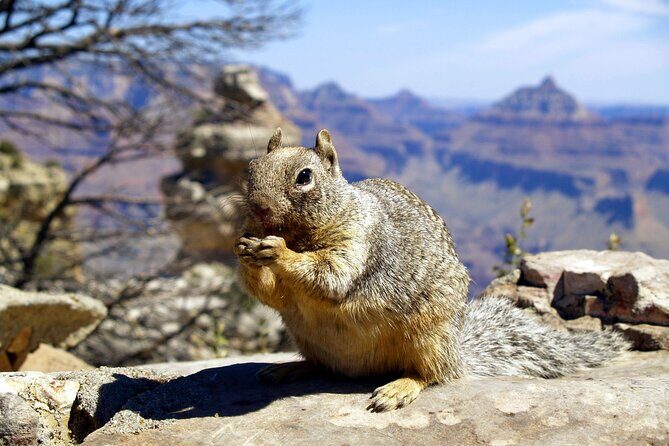 Sedona to Grand Canyon Equinox; A perfect private day adventure! - Final Thoughts