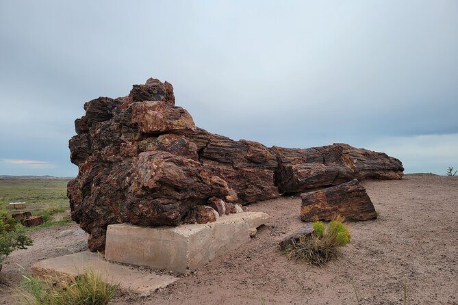 Sedona to Petrified Forest/Painted Desert Adventure PRIVATE TOUR! - FAQ