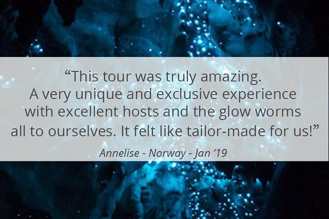 See Auckland's Secret Glow Worms - FAQ