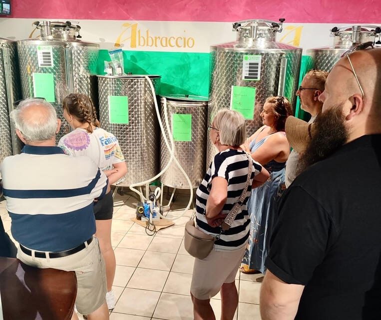 Seggiano: Extra Virgin Olive Oil Museum Visit and Tasting - Why This Tour Offers Great Value