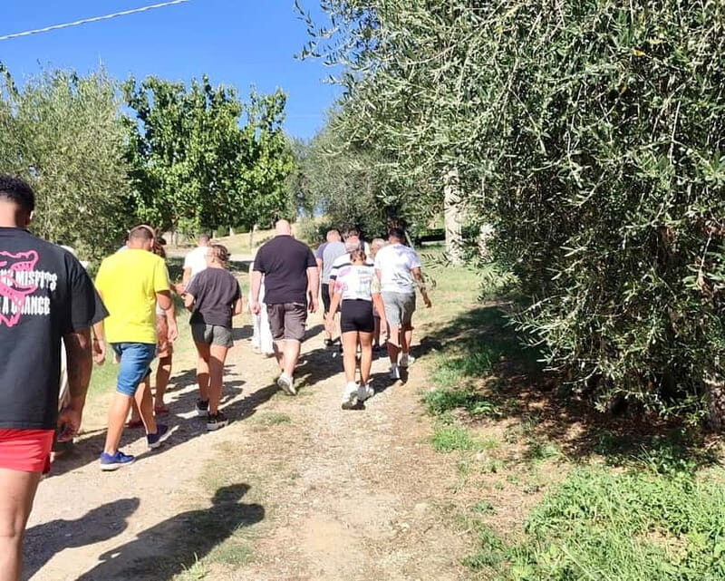Seggiano: Guided Tour of the Olive Grove and Food Tasting - Practical Details and Value