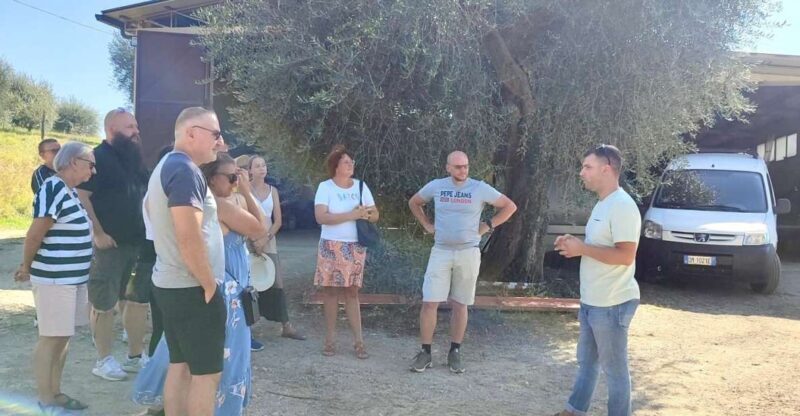 Seggiano: Typical Tuscan Farm Tour with Olive Oil Tasting - Who Would Love This Tour?