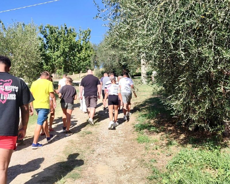 Seggiano: Typical Tuscan Farm Tour with Olive Oil Tasting - Practical Tips for Visitors