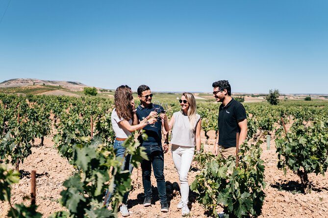 Segovia & Ribera del Duero Winery with Wine Tasting from Madrid - Discovering the Best of Ribera del Duero and Segovia in a Day