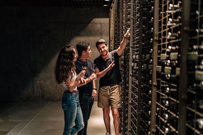 Segovia & Ribera del Duero Winery with Wine Tasting from Madrid - Key Points
