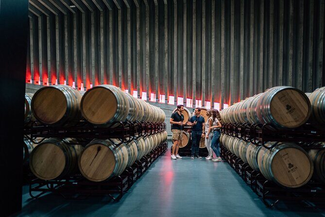Segovia & Ribera del Duero Winery with Wine Tasting from Madrid - The Reality vs. Expectations