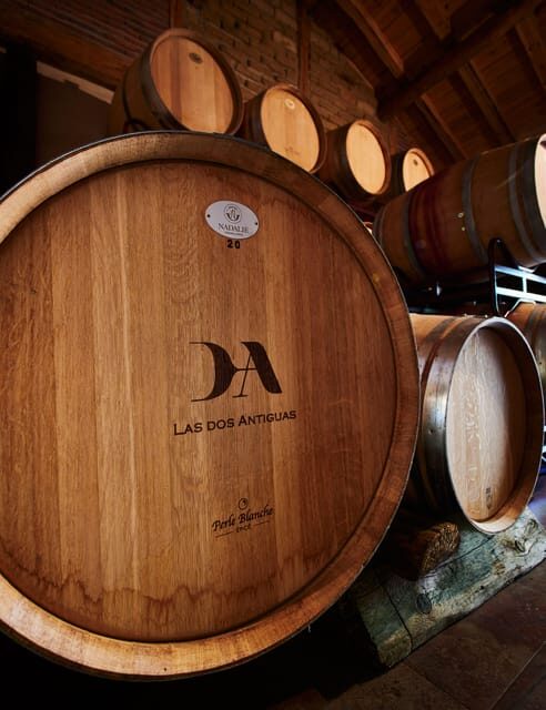 Segovia: Winery Tour with Wine Tasting - Key Points