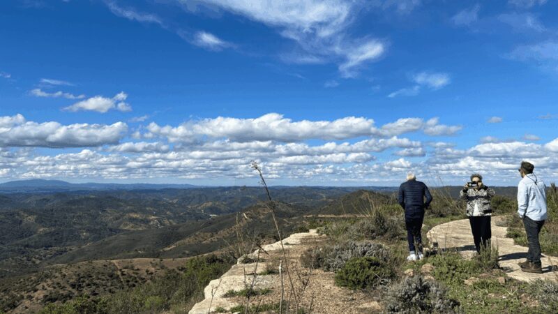 Segredos do Algarve: Tour Guiado (Full Day) - Who Should Consider This Tour?