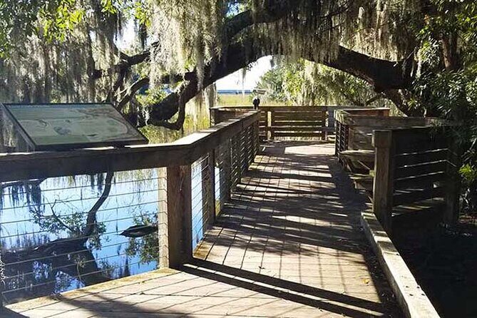 Segway Eco Discovery Tour at Honey Horn (90 minutes) - Key Points