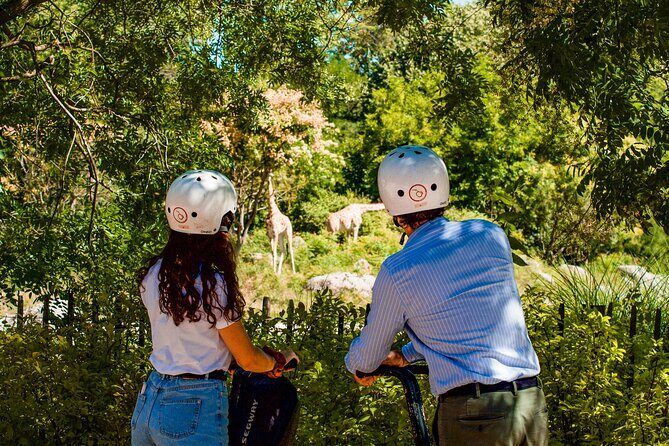 Segway Tour by ComhiC - Tête d'Or Park - 2h - A Deep Dive into the Lyon Segway Tour