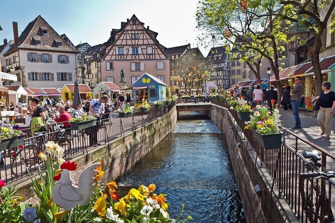 Segway Tours 2h in Colmar - Why Choose a Segway Tour in Colmar?