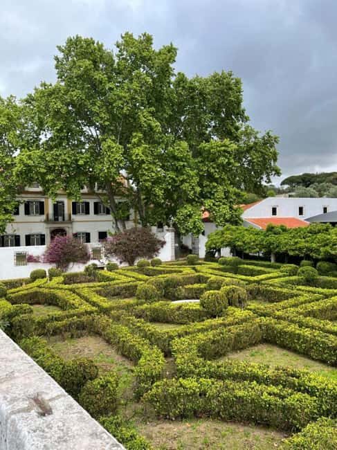Seixal: Guided Walking Tour with Pastel de Nata - In-Depth Review: Discovering Seixal’s Charm