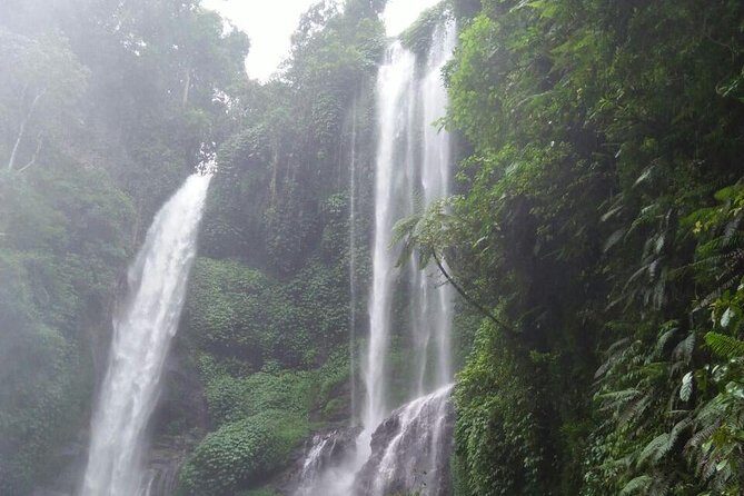 Sekumpul waterfall & aling2 waterfall with private service (including activity) - Final Thoughts