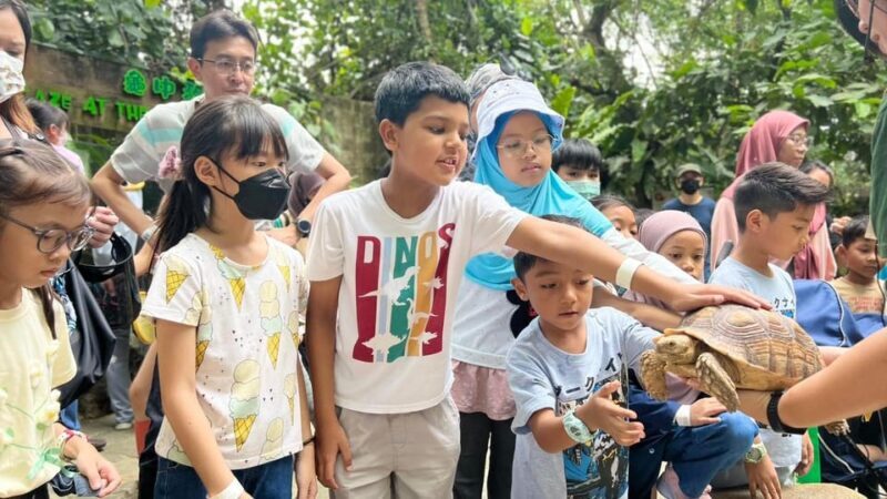 Selangor: Farm In The City Entry Ticket - Who is This Best For?