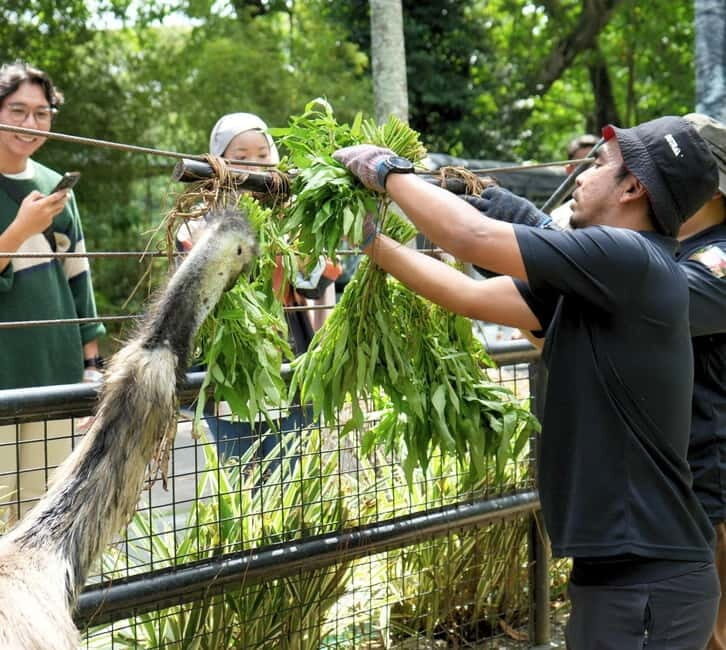 Selangor: Zoo Negara E-Ticket - Who Is This Tour Best For?